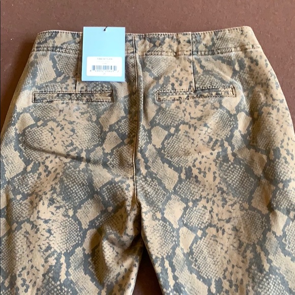 Pam and gala snake Prince boot cut pants - Picture 3 of 4